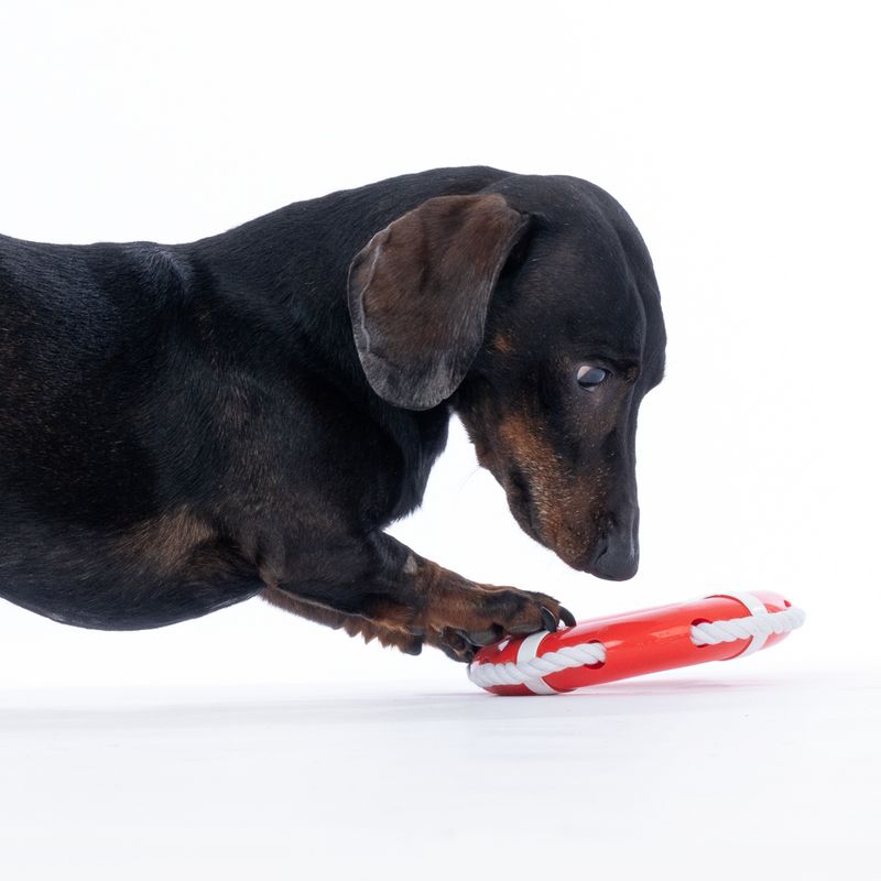 TIAKI Floating Dog Toy diameter 17.5 x (H) 3 cm