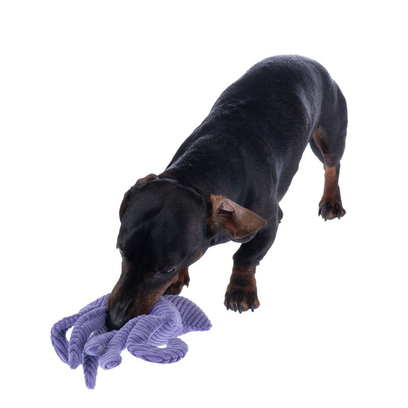 TIAKI Hook Corduroy Squid Dog Toy approx. 29 x 12 x 5 cm (L x W x H)