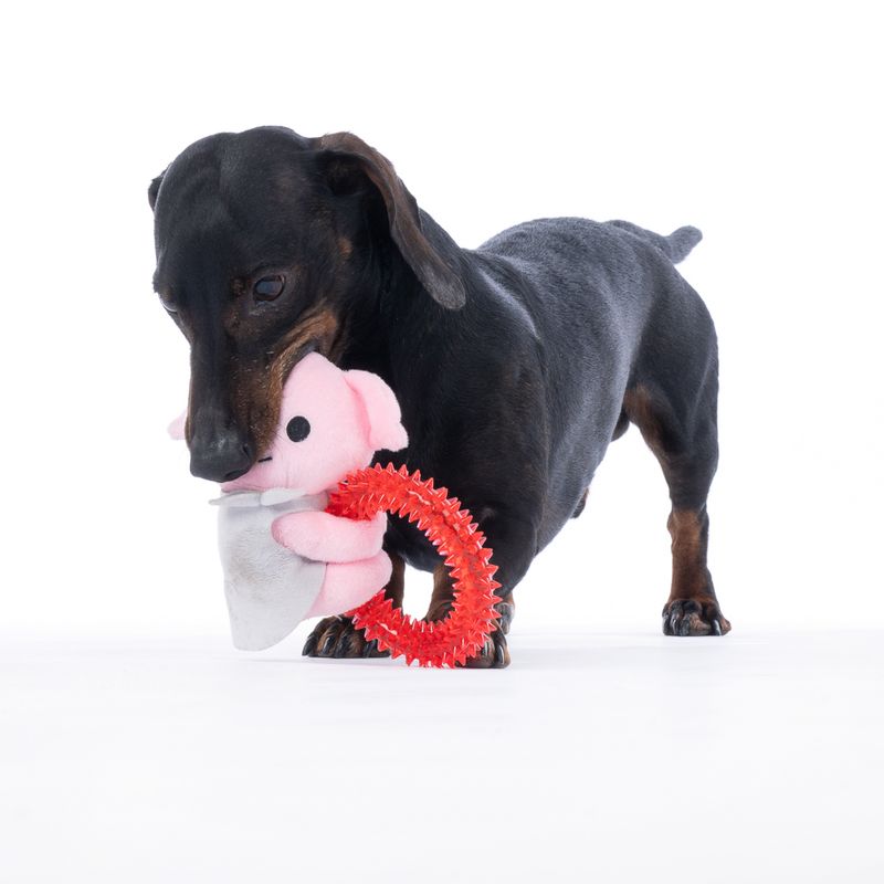 Warner Bros™ Harry Potter Dobby with Ring Dog Toy approx. 19 x 15 x 5 cm (L x W x H)