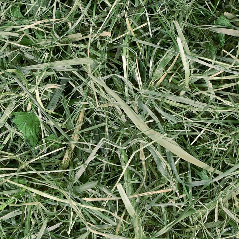 Chipsi Sunshine Organic Plus Mountain Meadow Hay Organic Dandelion (600g)