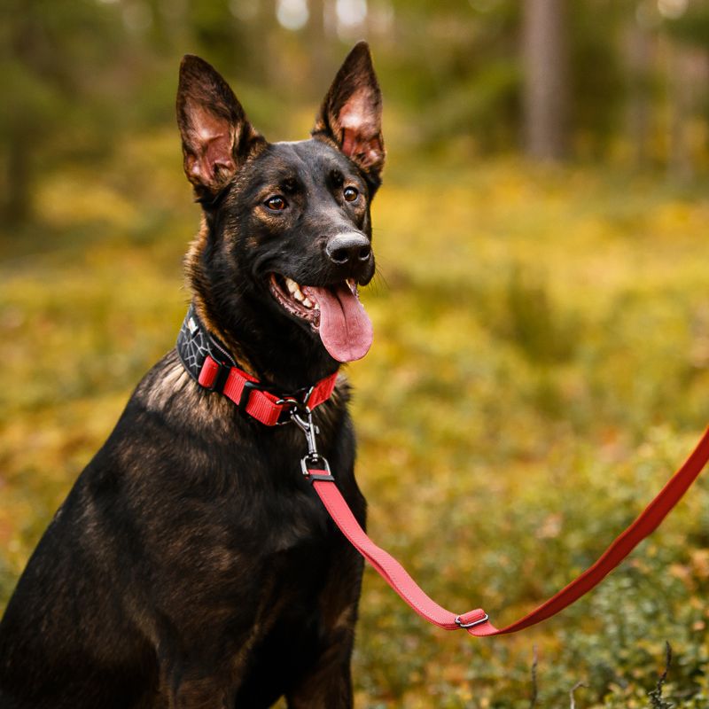 Rukka® Cube Soft collar, red / black Size S: 30-40 cm neck circumference, W 20 mm