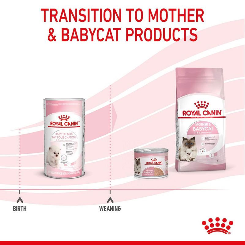Royal Canin Babycat Milk 300g
