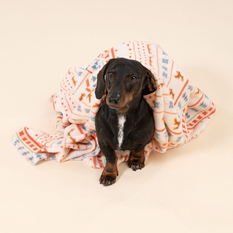 TIAKI Cosy Blanket with Nordic Winter Pattern Size S: 100 x 70 cm (L x W)