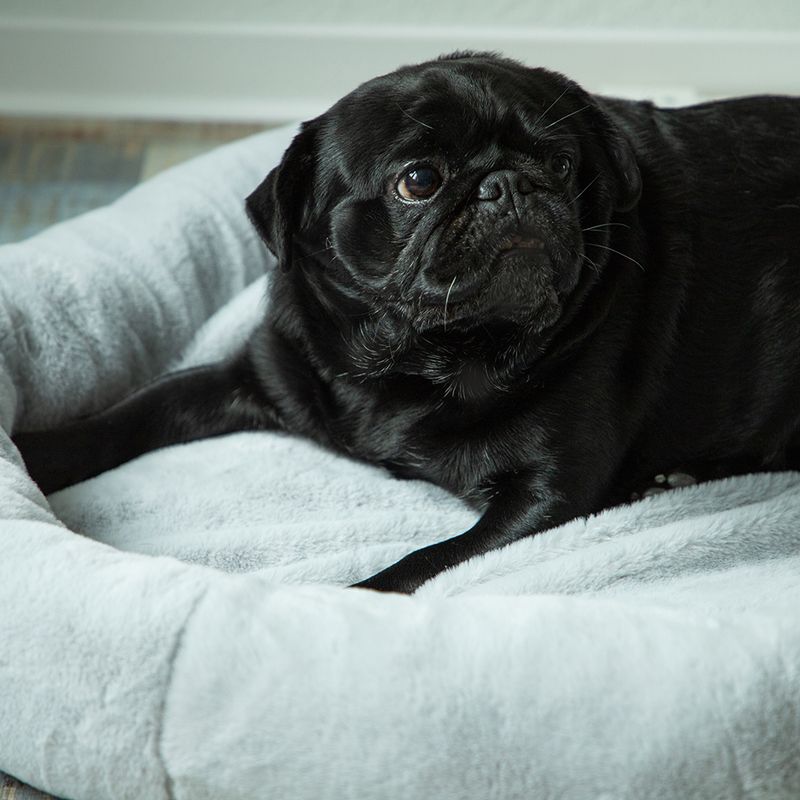 HAFENBANDE Flory Heating Pad diameter 75cm