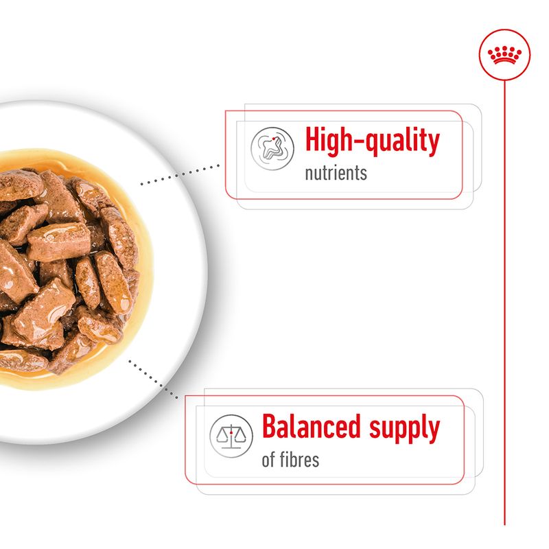 Royal Canin Maxi Adult in Gravy 10 x 140g