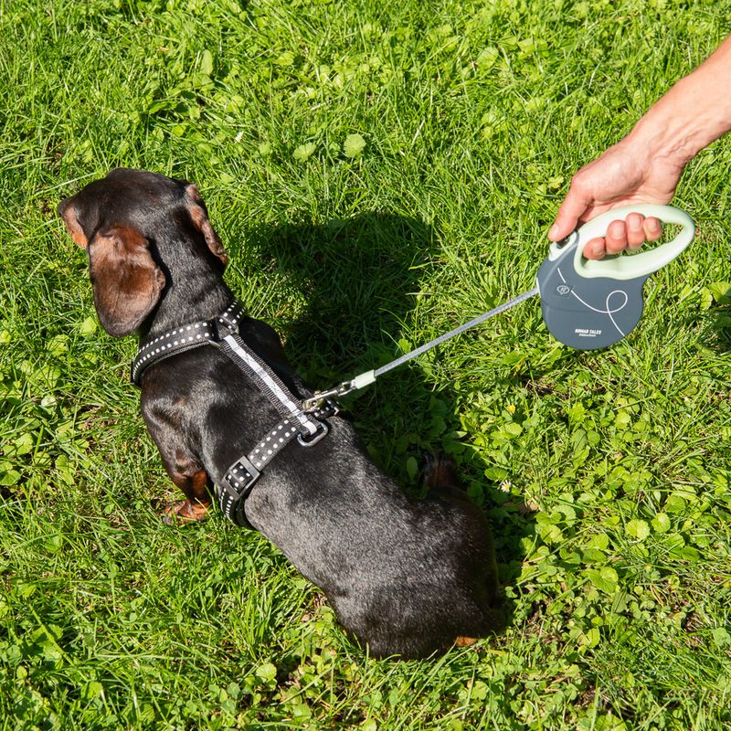 Nomad Tales Bloom Retractable Lead Liberty Size XS: up to 8.1kg