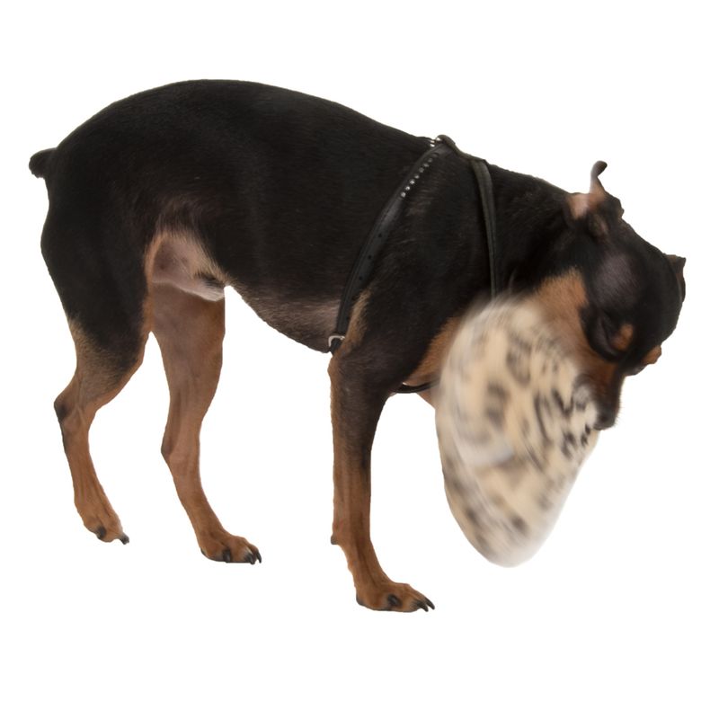 Dotti Plush Toy Diameter approx. 16cm