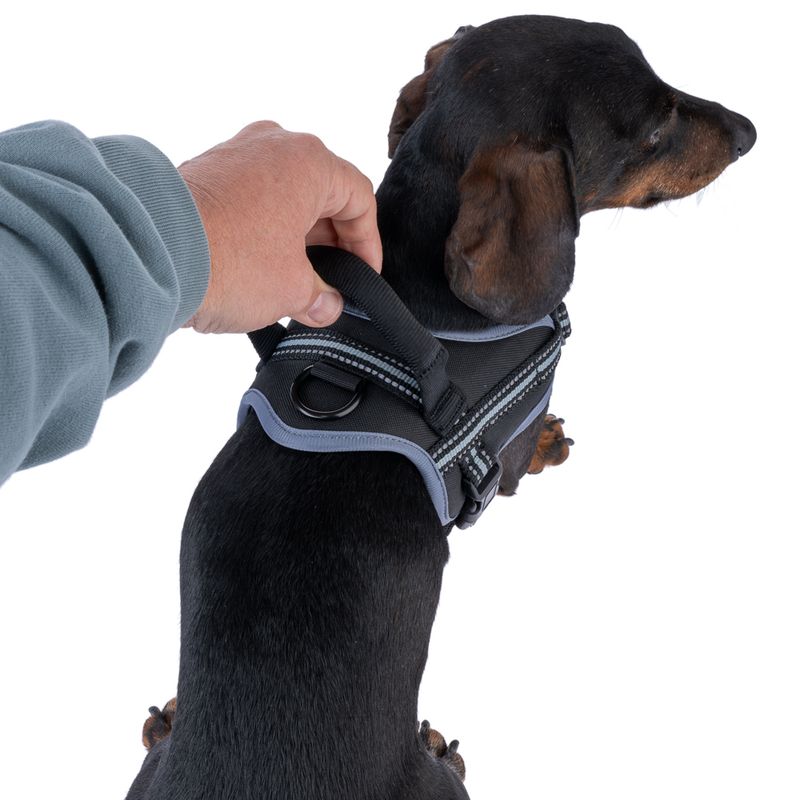 TIAKI Saddle Harness Small: approx. 40 - 50cm (Neck Circumference)