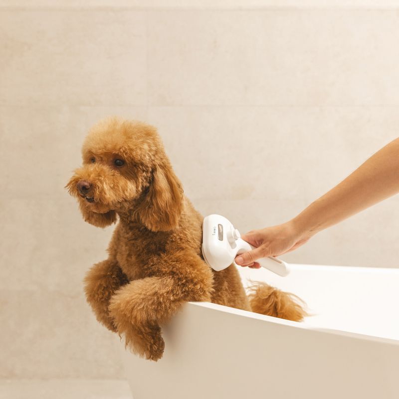 kooa Steam Brush 20 x 12 x 7cm (L x W x H)