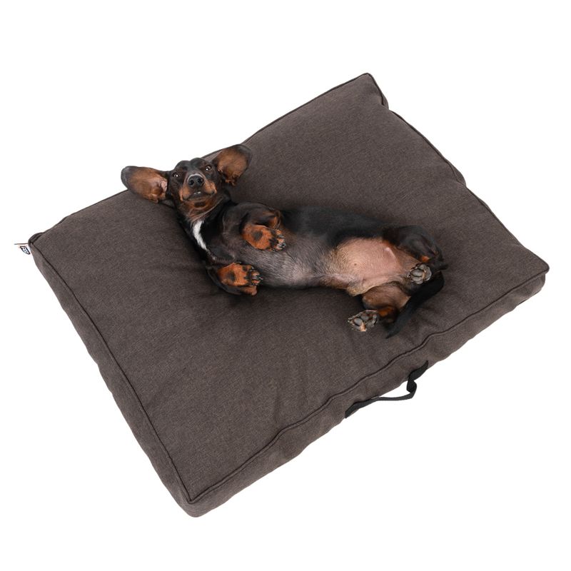 TIAKI Dog Mattress Memory Foam, brown S: L 80 x W 60 x H 17 cm