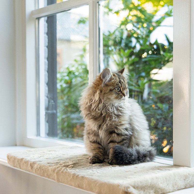 Beeztees Window Sill Cushion Moza 65 x 27 x 3cm (L x W x H)