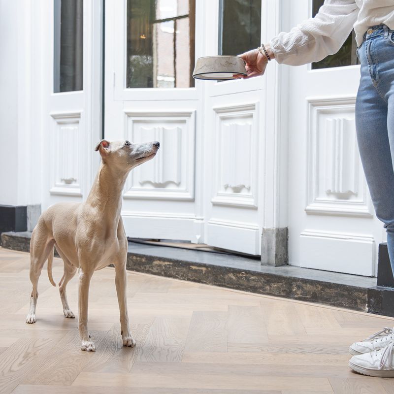 Designed by Lotte Marble Melamine Feeding Bowl - Beige 700ml, diameter 22cm