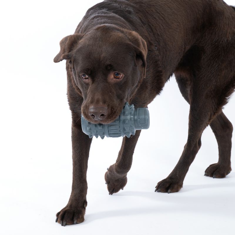 TIAKI Grenade Dog Toy diameter 9 x (H) 15 cm