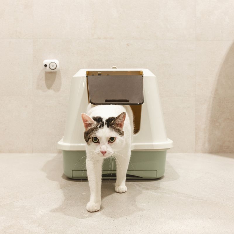 kooa Automatic Airfresh Deodoriser 1 Deodoriser