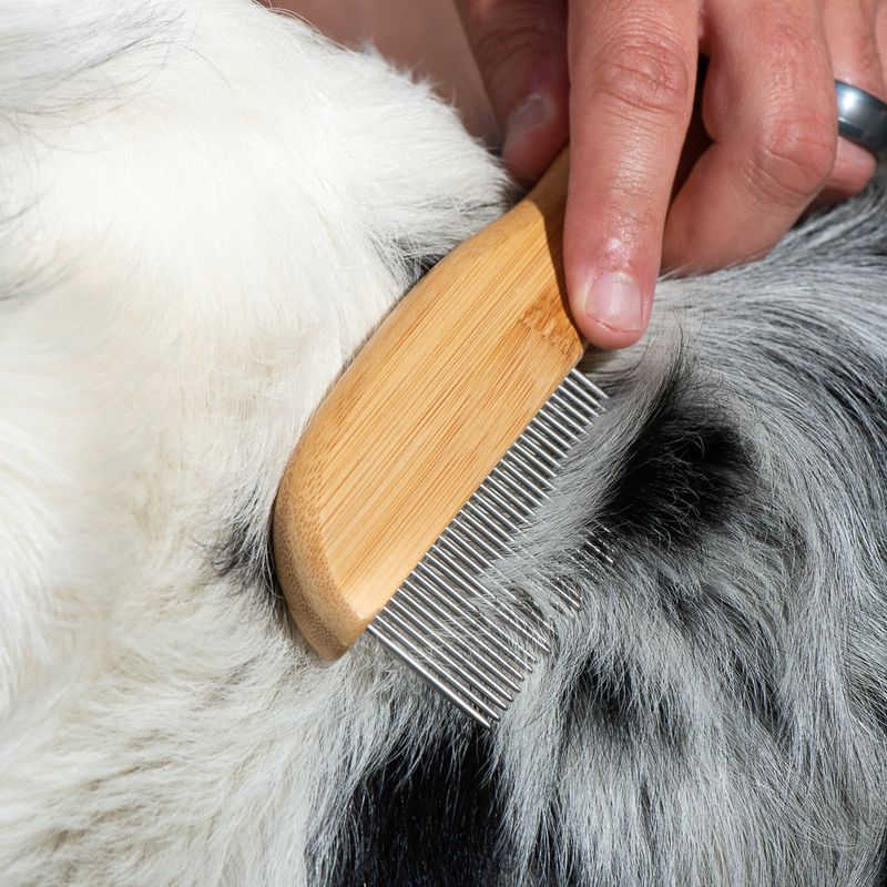 kooa Bamboo Comb with Rotating Pins 21.5 x 5.5cm (L x W)