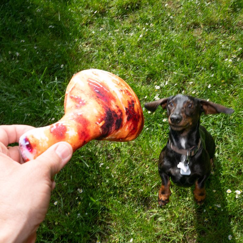 TIAKI Chicken Drumstick Dog Toy 23 x 13.5 x 5 cm (L x W x H)