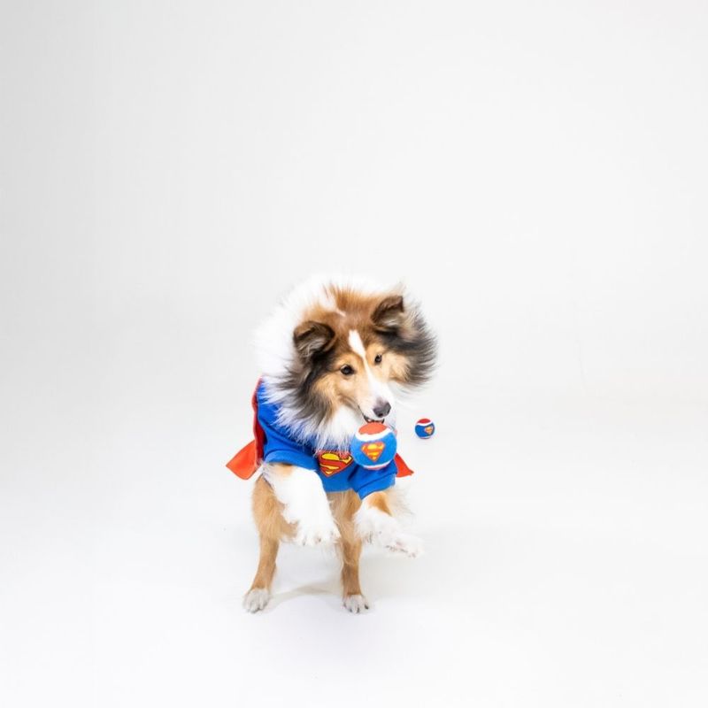 Warner Bros™ DC Superman Tennis Ball Set Set of 4 (each diameter 6.3cm)