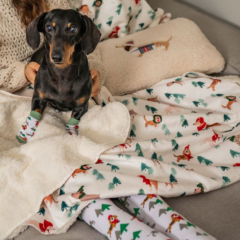 TIAKI Pet & Parent Winter Socks Set: Pet Socks (2 pairs) & Pawrent Socks (1 Pair)