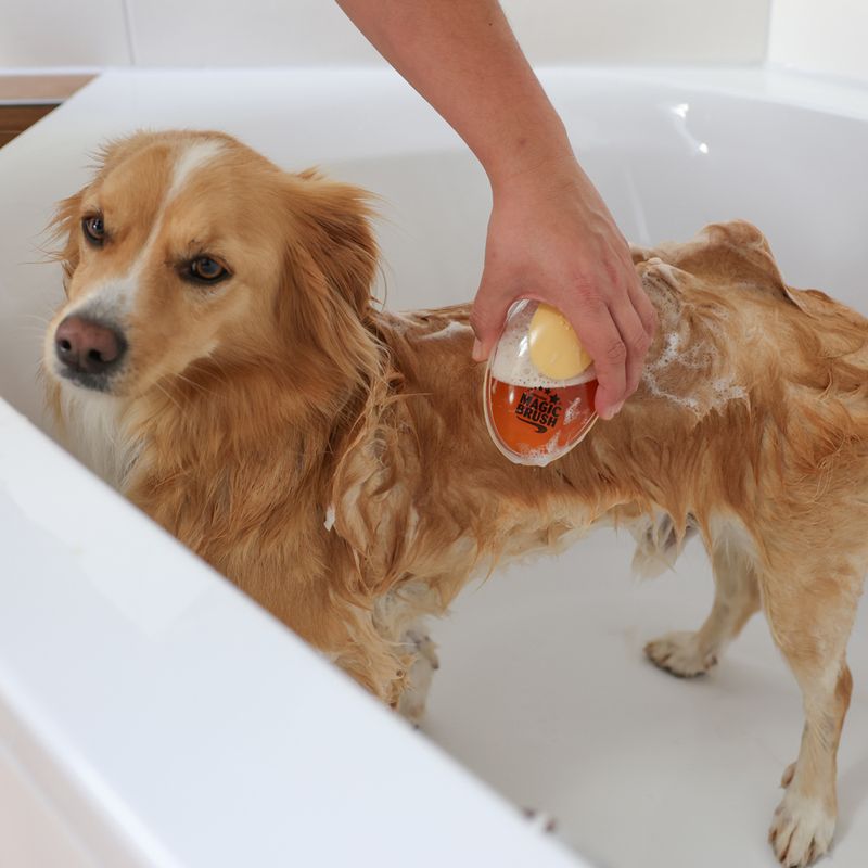 Kerbl MagicBrush Bath Brush 11.5 x 7.5 x 6cm (L x W x H)