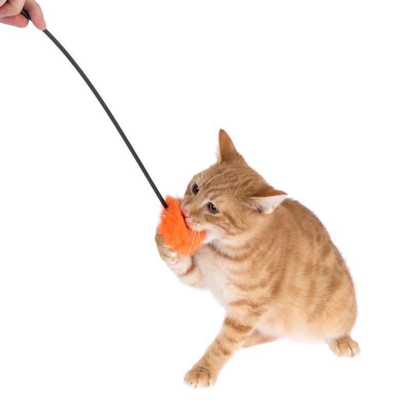 zooplus Basics feather duster pompom 1 Toy