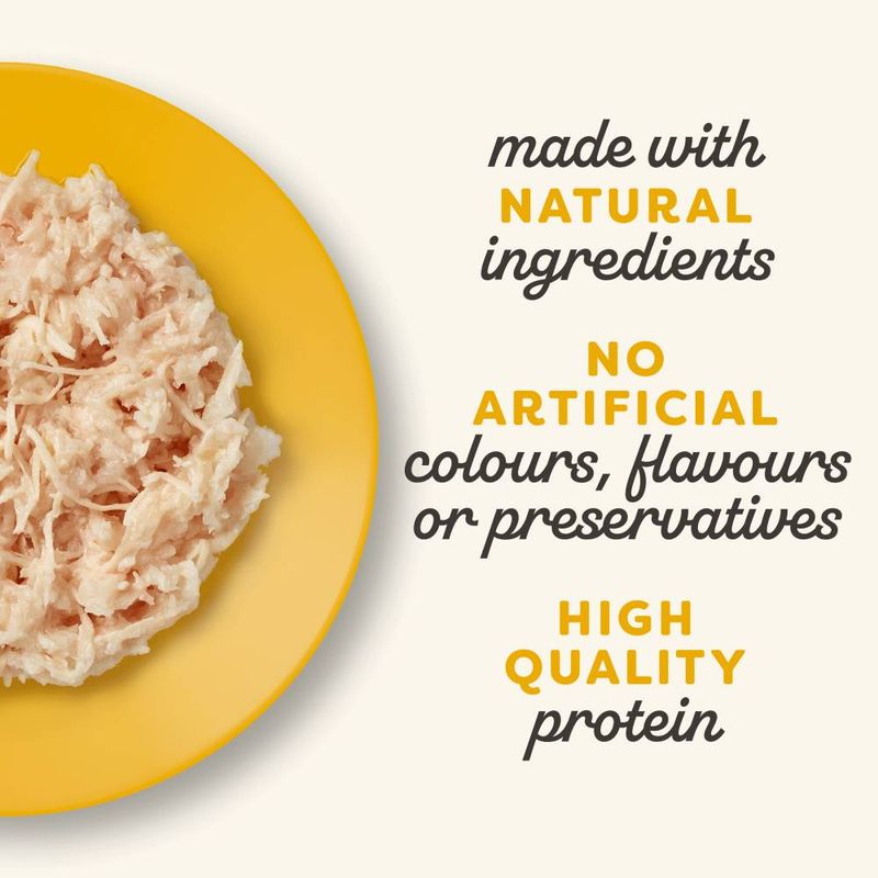 Applaws Cat Food 70g in Jelly Tuna Fillet with Salmon (6 x 70g)