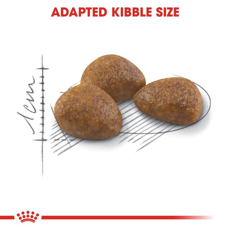 Royal Canin Outdoor 7+ 4kg