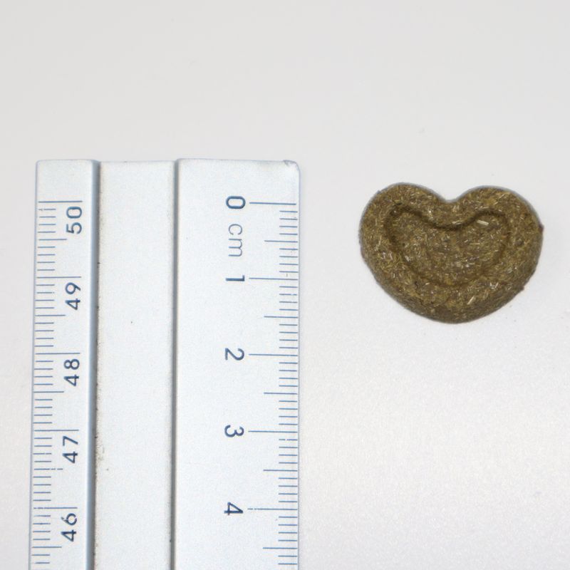 Burgess Excel Nature Snacks Fruity Feasts 60g