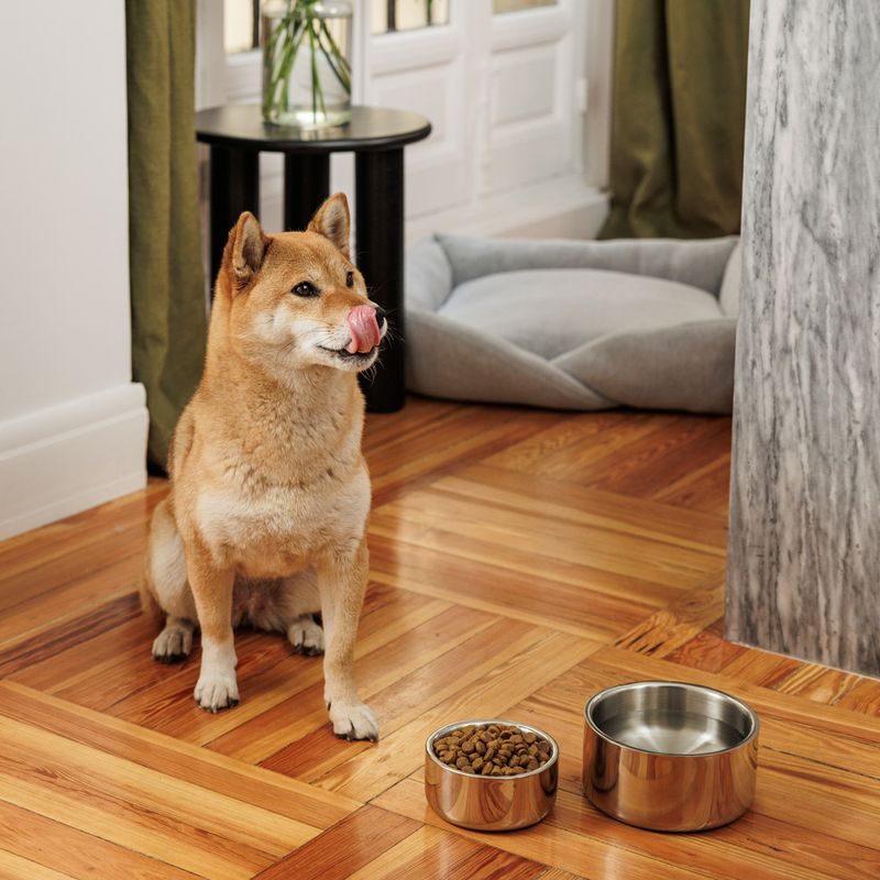 Modern Living Double-walled premium bowl Bayi 400 ml, diameter 13 cm