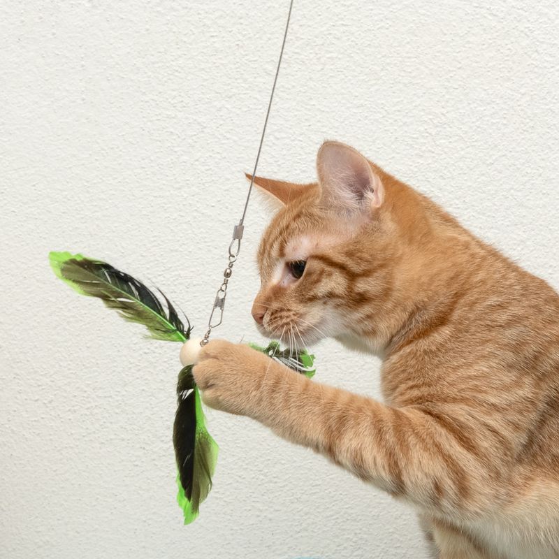 TIAKI Telescopic Cat Fishing Rod with Feathers 1 Toy