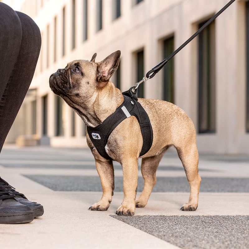 Curli Vest Harness Clasp Air-Mesh, black Size 3XS: chest girth 26.7 - 30.1 cm