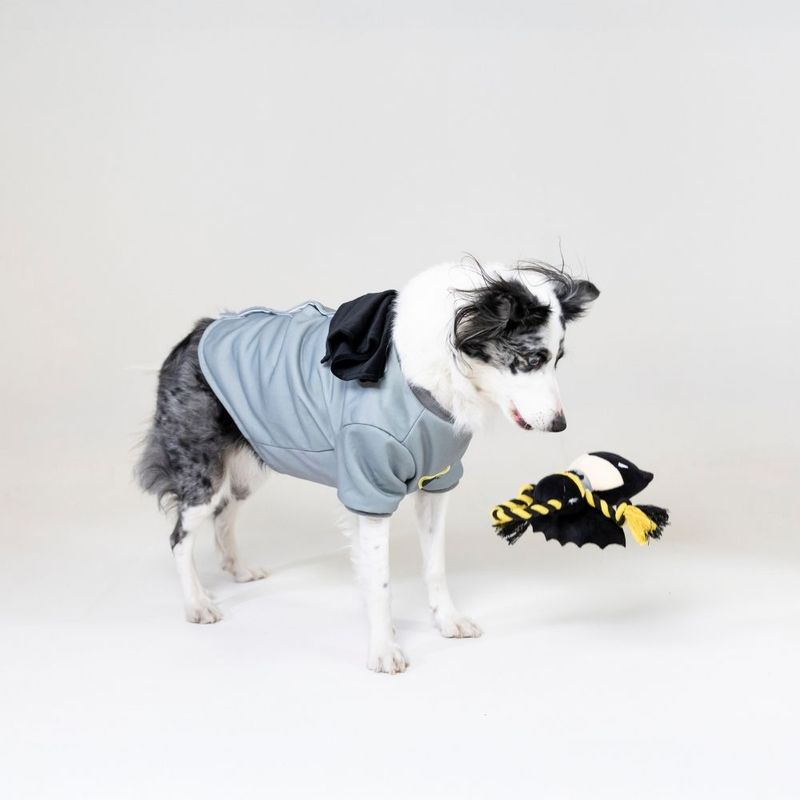 Warner Bros™ DC Batman Rope Dog Toy 25 x 16 cm (L x W)