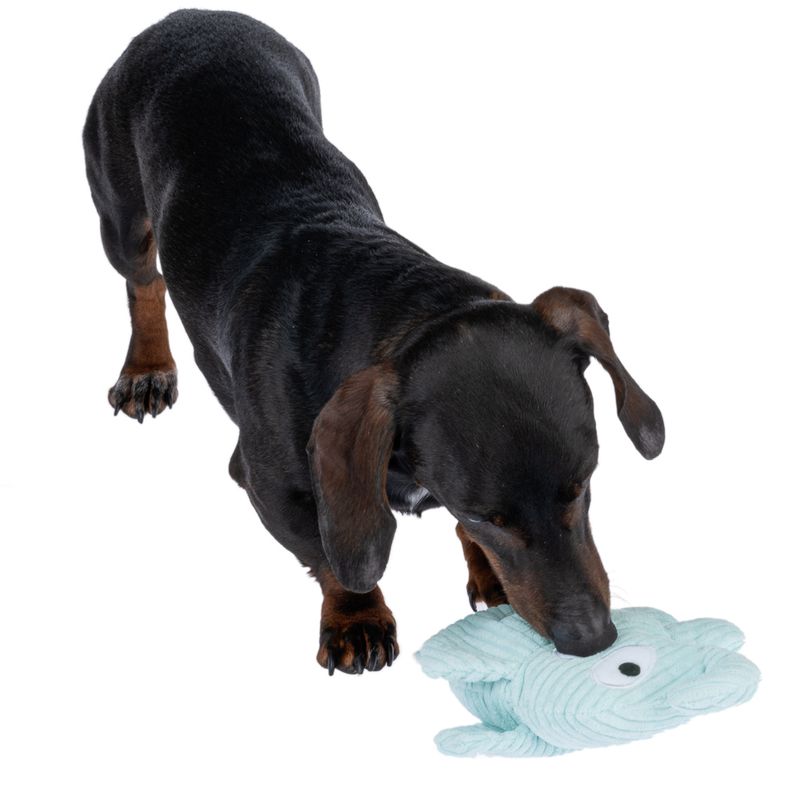 TIAKI Eli Corduroy Dog Toy 25 x 15 x 7cm (L x W x H)