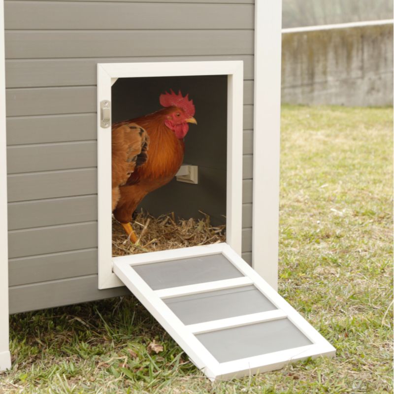 Kerbl Hobbyfarming ECO Plastic Coop Barney for Chickens 137 x 73 x 83cm (L x W x H)