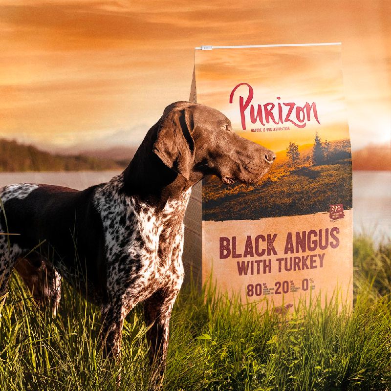 Purizon Black Angus Beef with Turkey Adult – Grain-free 100g