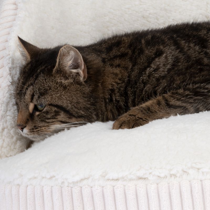 Modern Living Hella Sofa 1 Sofa