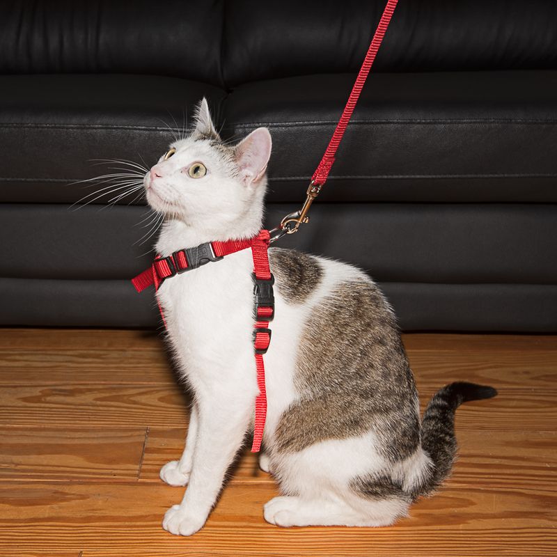 Trixie Cat Car Harness Red