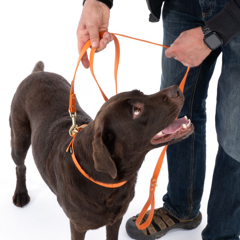 TIAKI Water-Repellent PVC Collar - Orange Size S: 24-36cm (Neck Circumference)