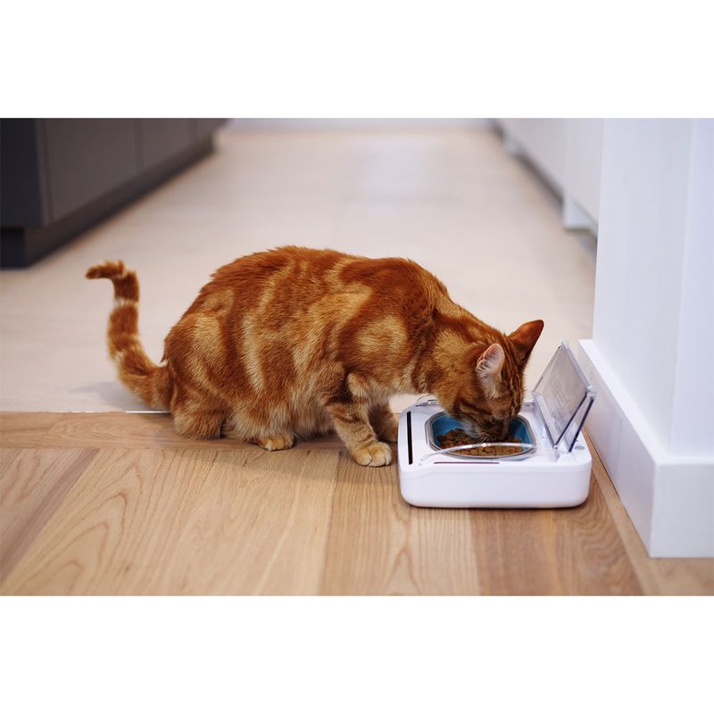 SureFeed Sealed Pet Bowl Airtight Food Bowl 400ml