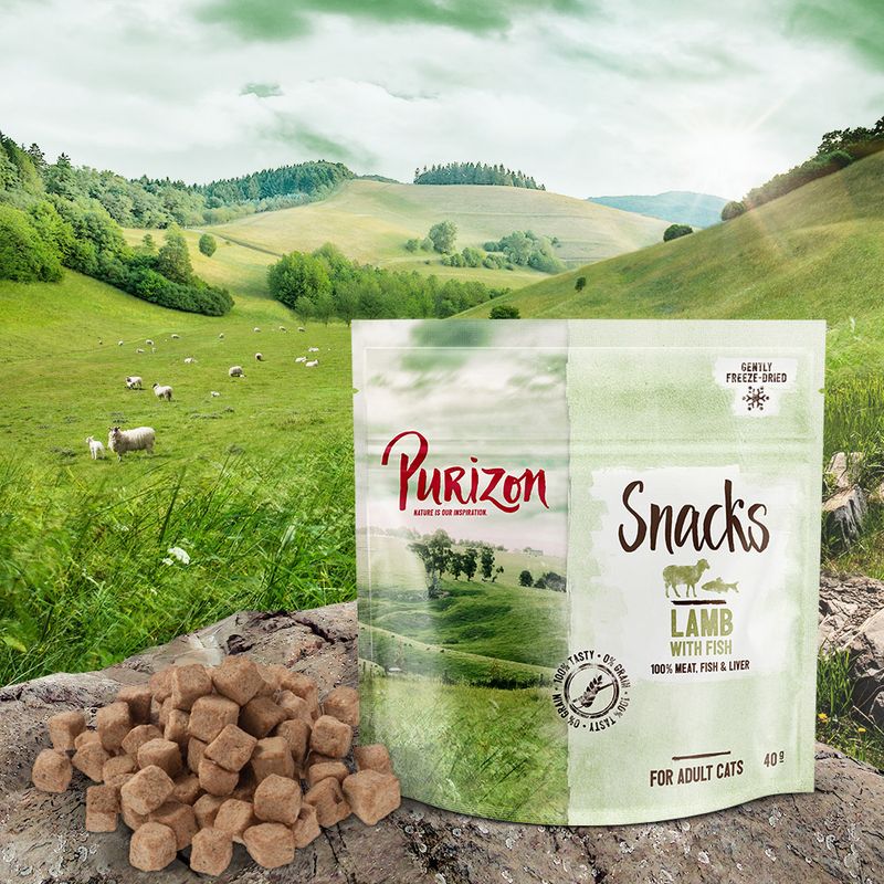 Purizon Cat Snacks Grain-Free Saver Pack 3 x 40g Mix