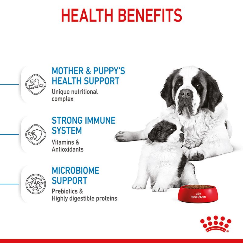 Royal Canin Giant Starter Mother & Babydog 15kg