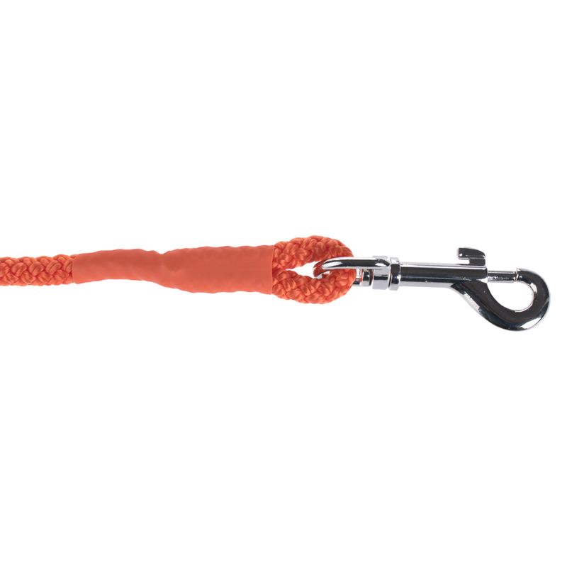 Heim Long Dog Training Lead - Orange 5m