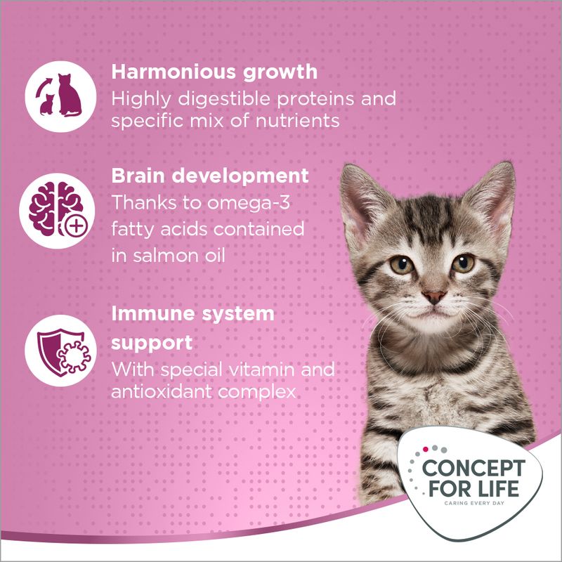 Concept for Life Kitten 400g