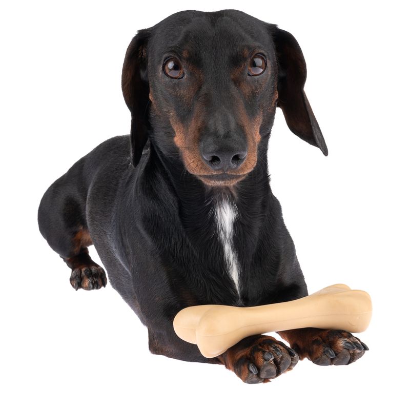 TIAKI Rubber Bone Dog Toy 15 x 4.5 x 3.5cm (L x W x H)