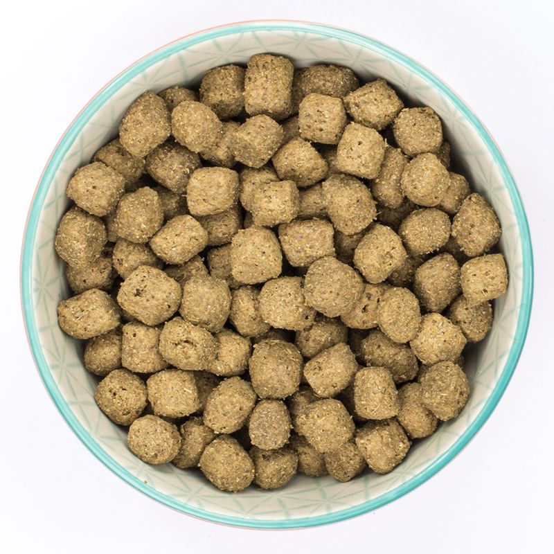 Burns Puppy Original - Lamb & Rice 6kg