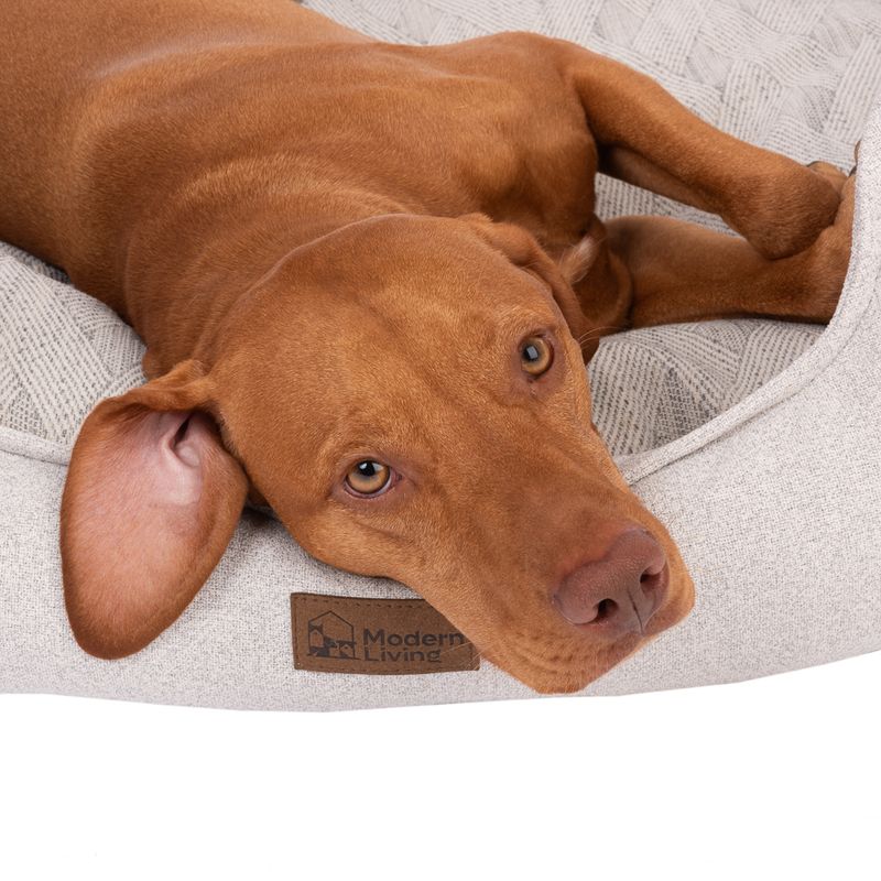 Modern Living Phoenix Dog Bed 77 x 65 x 23cm (L x W x H)