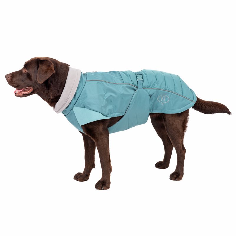Nomad Tales Spirit Softshell Dog Coat - Pacific approx. 35cm Back Length
