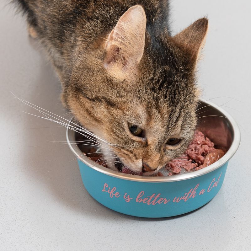 TIAKI stainless steel bowl \