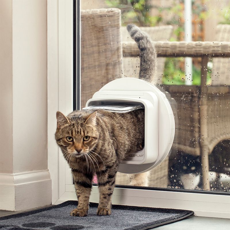 SureFlap DualScan Microchip Cat Flap White Cat Flap