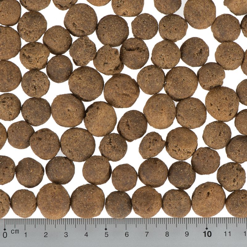 Little Wolf of Wilderness Junior Mixed Trial Pack 2 x 1kg