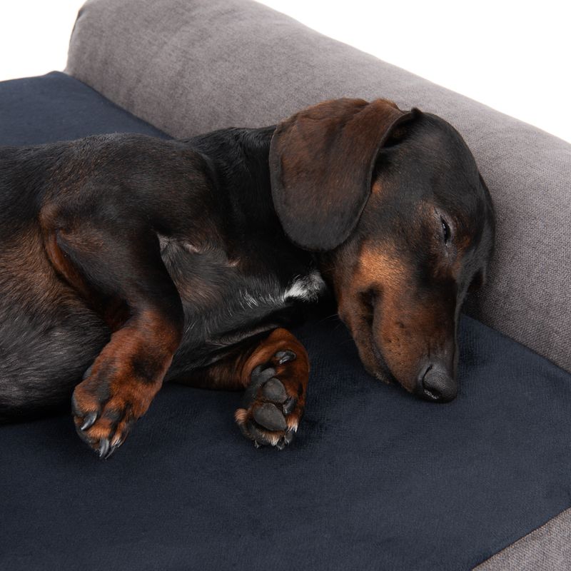 Modern Living Dog mattress Malbork Size S: L 110 x W 65 x H 10/17 cm